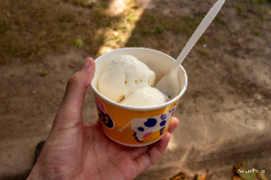 icecream